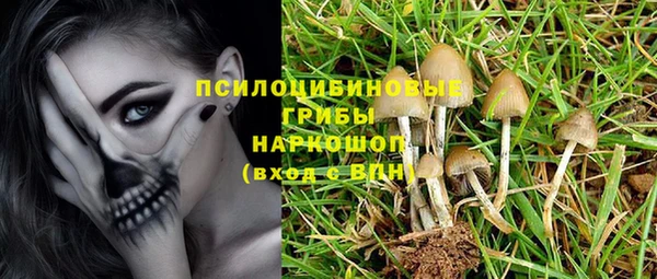 PSILOCYBIN Майский