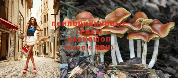 кокс Мегион